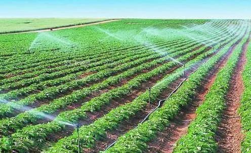 www.骚。com农田高 效节水灌溉